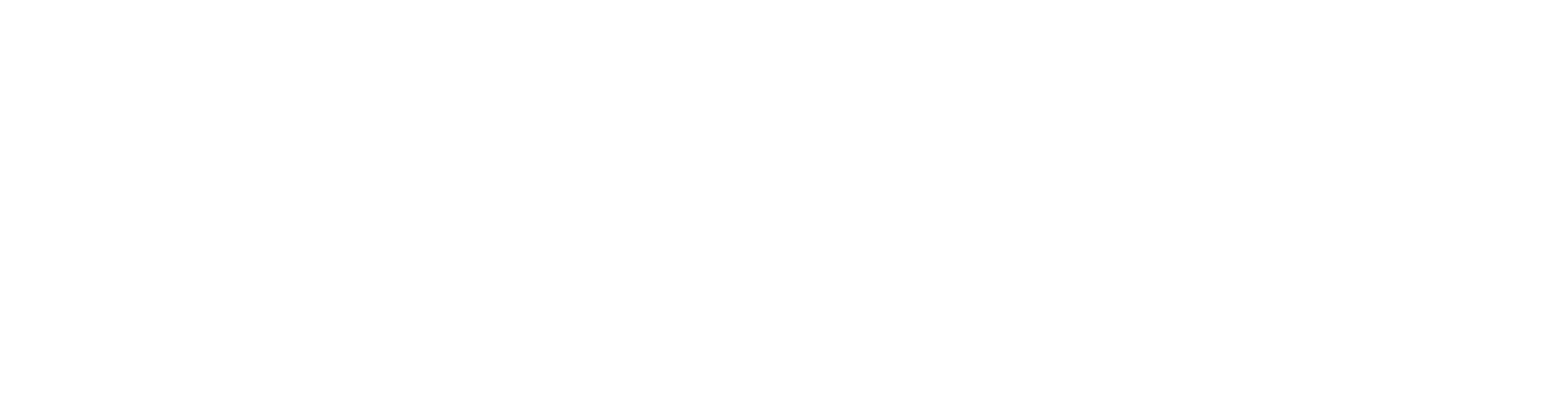 Elsewedy Industries
